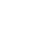 Recycled Down